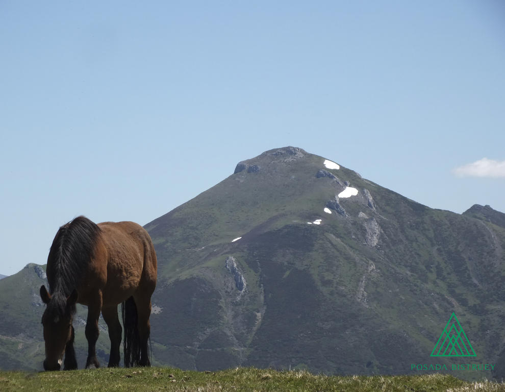 Posada Rural Bistruey Potes Pokój zdjęcie